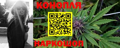 гашик Кунгур