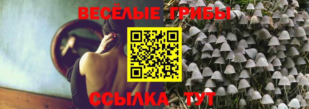 Псилоцибиновые грибы Psilocybine cubensis  Вход с VPN  Рязань 